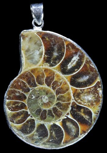 Fossil Ammonite Pendant - Million Years Old #89818